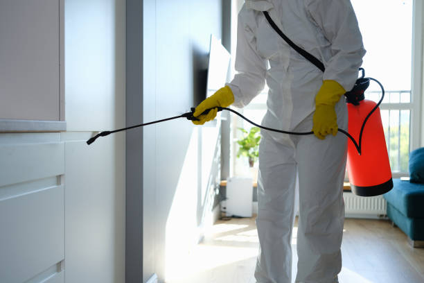 Best Post-Flood Mold Remediation in Cedar Point, NC