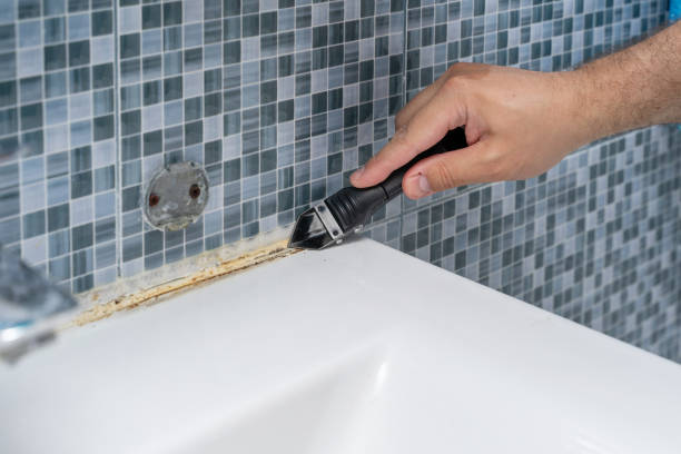 Best Emergency Mold Remediation in Cedar Point, NC